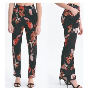 NWT Molly Bracken floral velvet pants